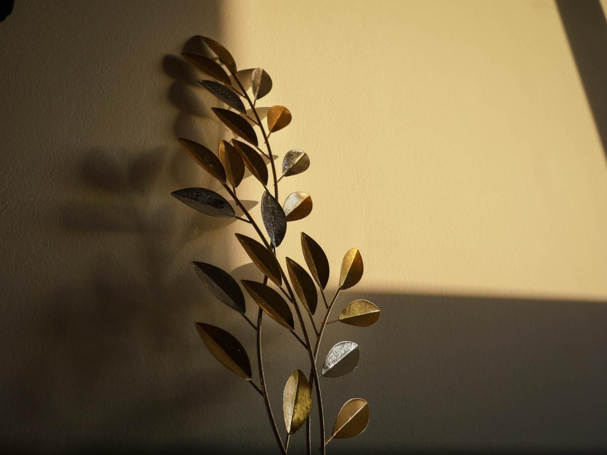 Gold And Silver Apartment 扎达尔 外观 照片